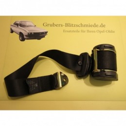 Sicherheitsgurt Hintersitz...